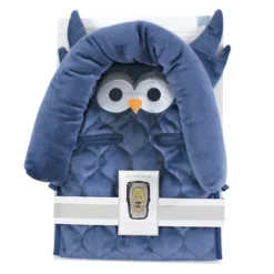 Hudson Baby Infant Boy Car Seat Insert, Blue Owl, One Size
